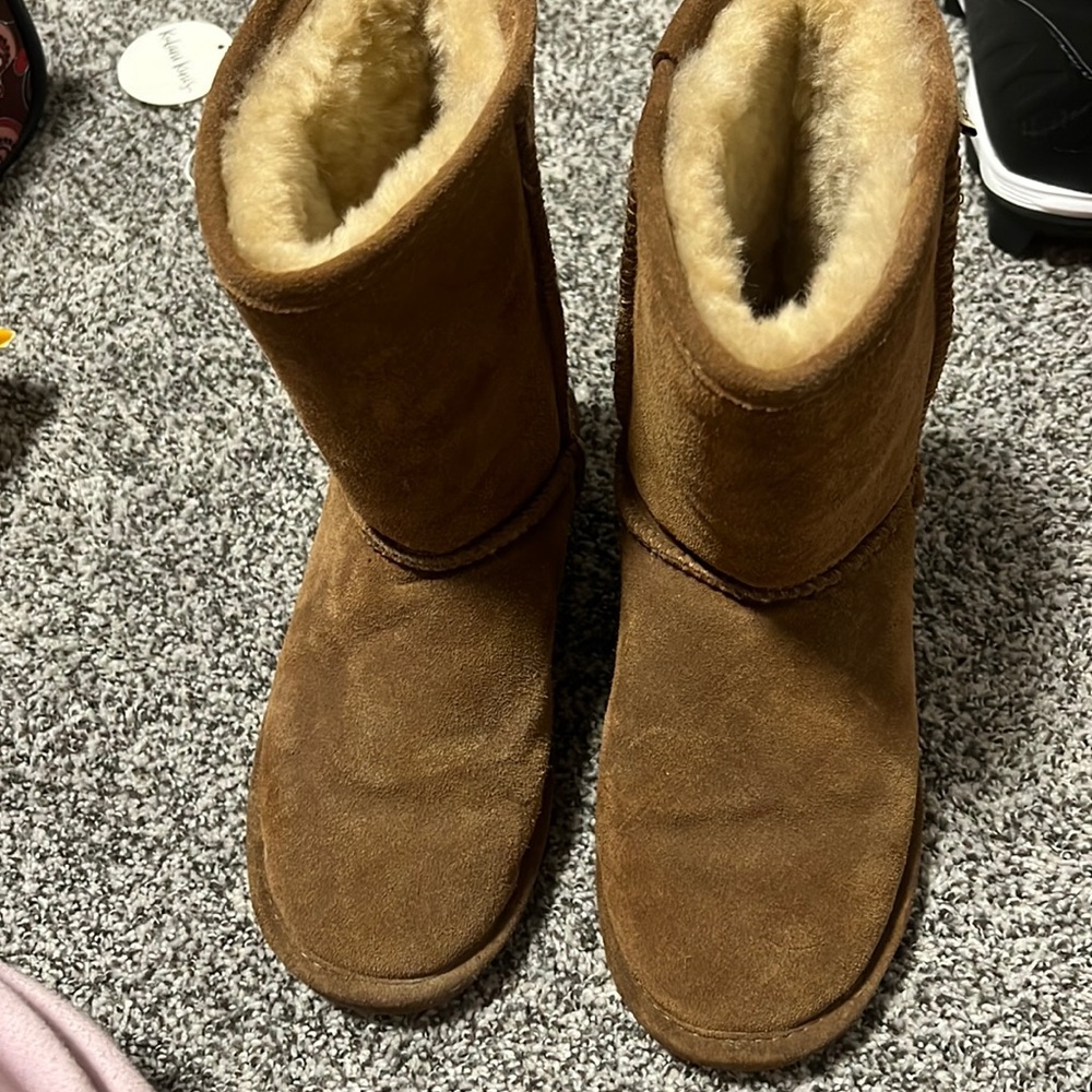 Best paw boots